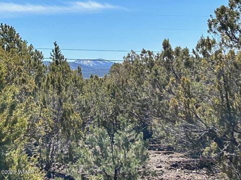 lot46 Uphill Trl, Vernon, AZ 85940