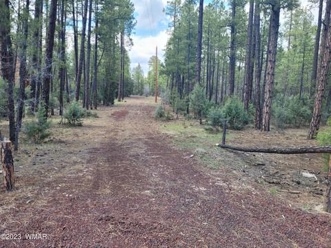 Tbd Rim Spur Circle, Lakeside, AZ 85929