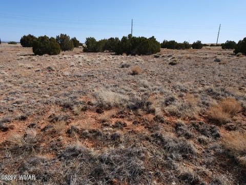 Tbd Richard Dr, Snowflake, AZ 85937