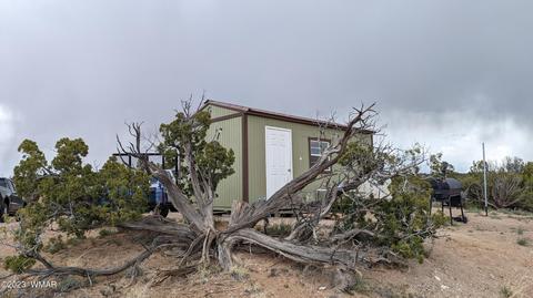 6604 North St, Johns, AZ 85936 photo 18