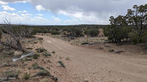 6604 North St, Johns, AZ 85936 photo 22