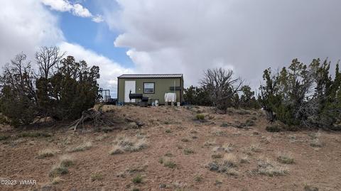 6604 North St, Johns, AZ 85936 photo 17