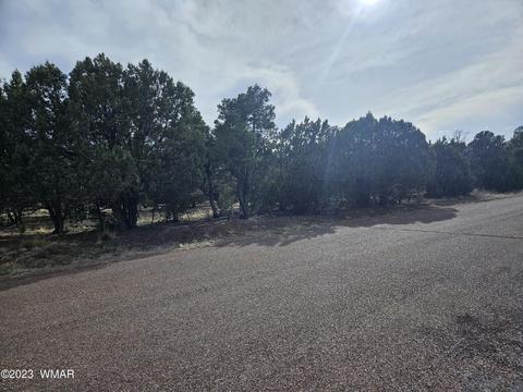 2870 Constellation Ln, Overgaard, AZ 85933 photo 4