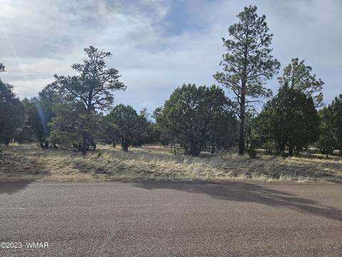 2870 Constellation Ln, Overgaard, AZ 85933 photo 2