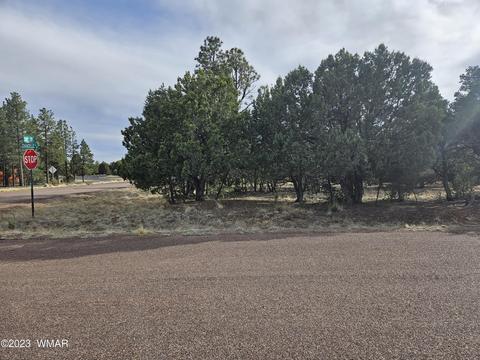 2870 Constellation Ln, Overgaard, AZ 85933 photo 3