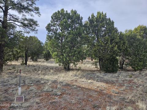 2870 Constellation Ln, Overgaard, AZ 85933
