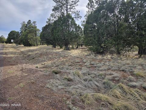 2870 Constellation Ln, Overgaard, AZ 85933 photo 5