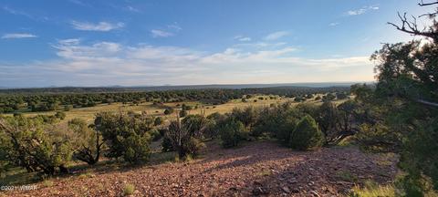 Tbd County Road 8288, Concho Valley, AZ 85924