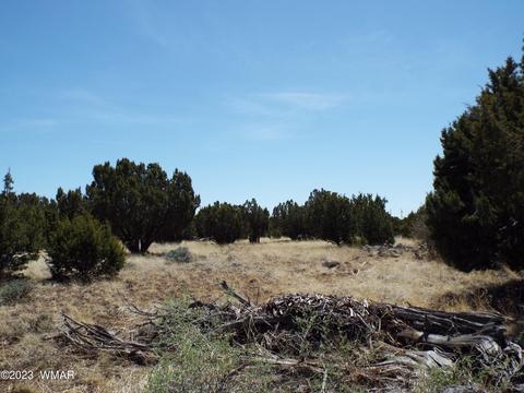 62 County Rd, Concho, AZ 85924 photo 3