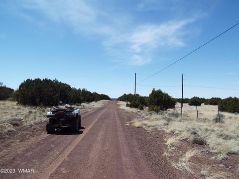 62 County Rd, Concho, AZ 85924 photo 2