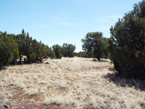 62 County Rd, Concho, AZ 85924