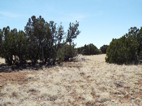 62 County Rd, Concho, AZ 85924 photo 5