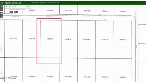 62 County Rd, Concho, AZ 85924 photo 8