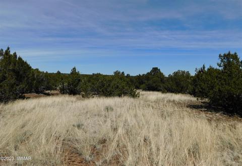 4 County Road 3046, Concho, AZ 85924