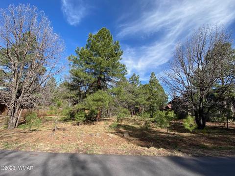 5194 Drifting Snow Loop, Pinetop, AZ 85935