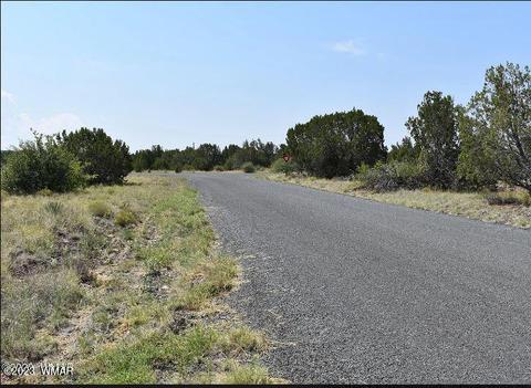 000 Fairway Cir, Concho Valley, AZ 85924