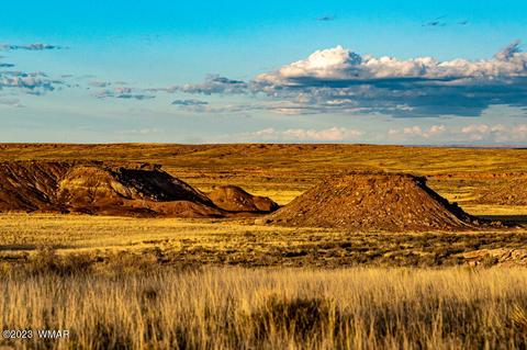 40 Acres Us Route 66, Chambers, AZ 86502