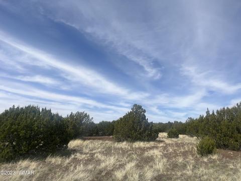 tbd Lot 91 North Fork Rnch, Vernon, AZ 85940