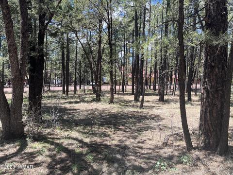 1351 N Springer Mountain Dr, Lakeside, AZ 85929
