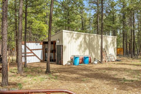 44 N2132, Alpine, AZ 85920 photo 32