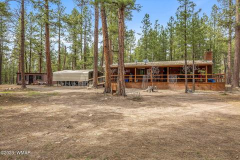 44 N2132, Alpine, AZ 85920 photo 3