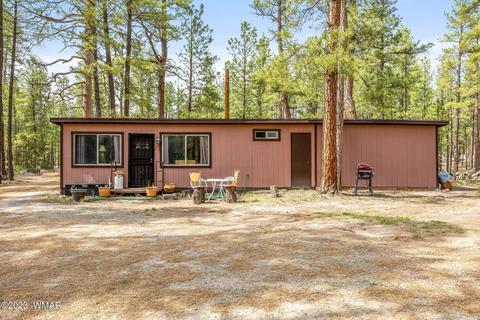 44 N2132, Alpine, AZ 85920 photo 22