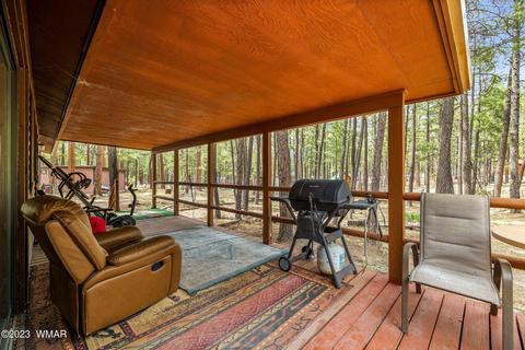 44 N2132, Alpine, AZ 85920 photo 19