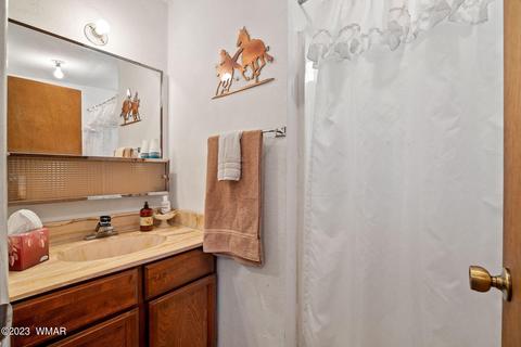 44 N2132, Alpine, AZ 85920 photo 29