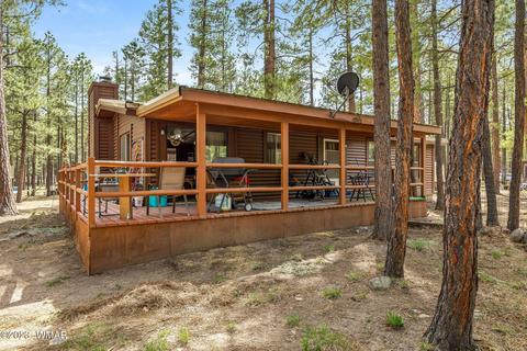 44 N2132, Alpine, AZ 85920 photo 21