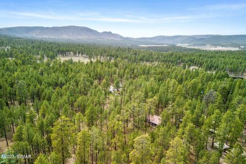 44 N2132, Alpine, AZ 85920 photo 36