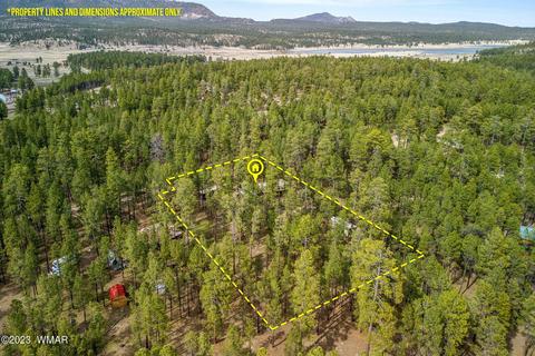 44 N2132, Alpine, AZ 85920 photo 2