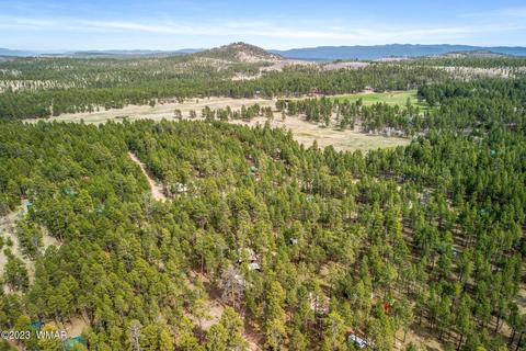 44 N2132, Alpine, AZ 85920 photo 35