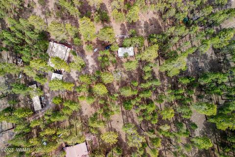 44 N2132, Alpine, AZ 85920 photo 34