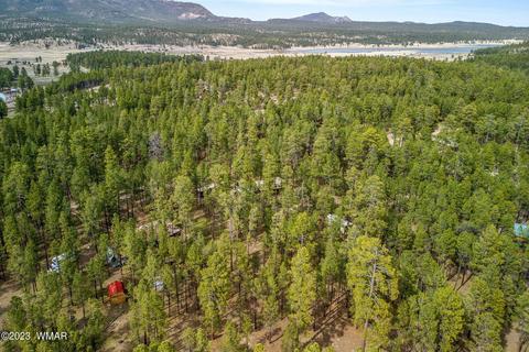 44 N2132, Alpine, AZ 85920 photo 37