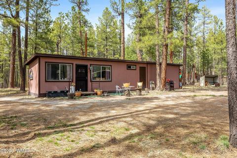 44 N2132, Alpine, AZ 85920 photo 23