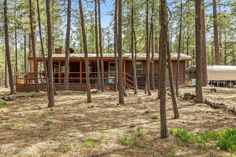 44 N2132, Alpine, AZ 85920 photo 20