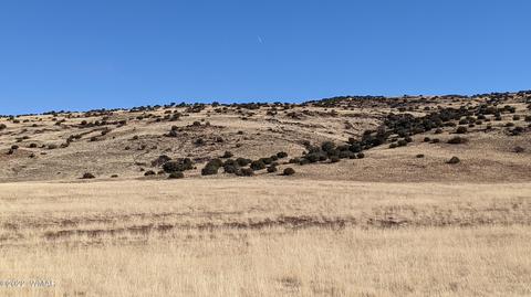 lot62 Big Valley Rnch, Concho, AZ 85924