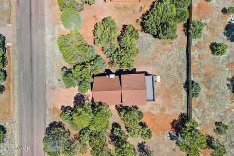 2745 Kittyhawk Ln, Overgaard, AZ 85933 photo 32