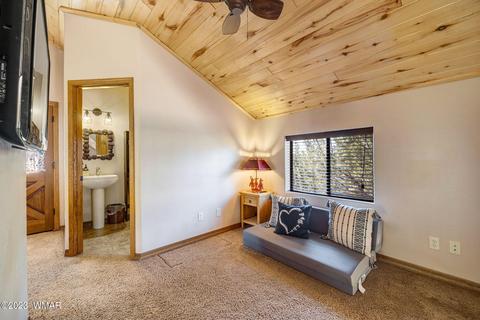 2745 Kittyhawk Ln, Overgaard, AZ 85933 photo 18