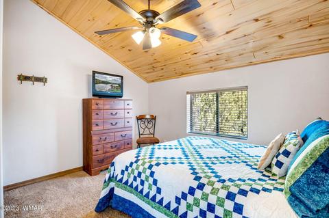2745 Kittyhawk Ln, Overgaard, AZ 85933 photo 20