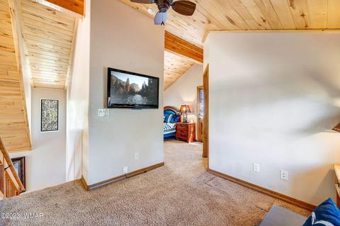 2745 Kittyhawk Ln, Overgaard, AZ 85933 photo 19