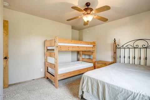 3259 Alkire Rd, Overgaard, AZ 85933 photo 30