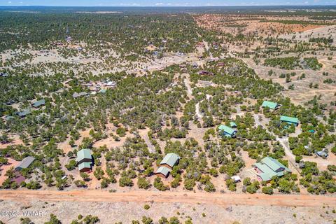 3259 Alkire Rd, Overgaard, AZ 85933 photo 36