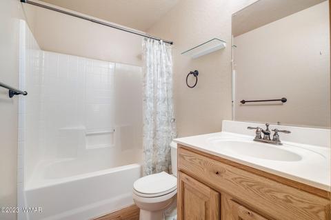 3259 Alkire Rd, Overgaard, AZ 85933 photo 23
