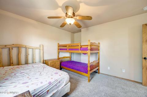 3259 Alkire Rd, Overgaard, AZ 85933 photo 27