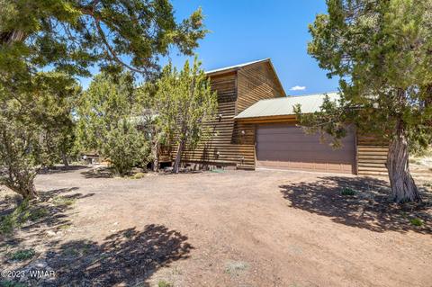 3259 Alkire Rd, Overgaard, AZ 85933 photo 3