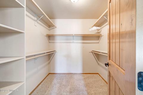 3259 Alkire Rd, Overgaard, AZ 85933 photo 22