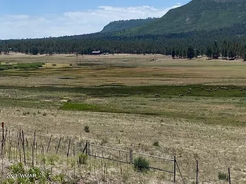 42716 Us Highway 180, Alpine, AZ 85920