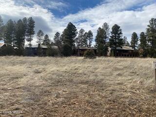 1300 S Lakeside Trl, Show Low, AZ 85901