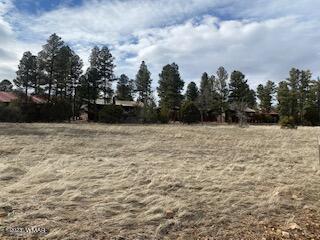 1340 S Lakeside Trl, Show Low, AZ 85901